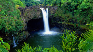 Waterfall tropical view trees bushes - tropical free wallpaper for desktop