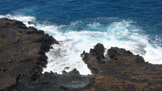 Rocky cliff water bird shore - a rocky cliff free wallpaper