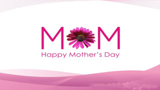 Pink flower happy mothers day 2 - ammi phillips free wallpaper for desktop