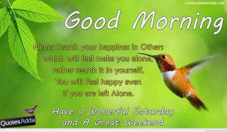 Hummingbird flying green background good - a good morning message free wallpaper