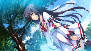 Girl white dress tree long - long hair and a sword free wallpaper