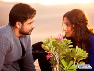 Man woman sitting looking plant - a man and a woman sitting next free wallpaper