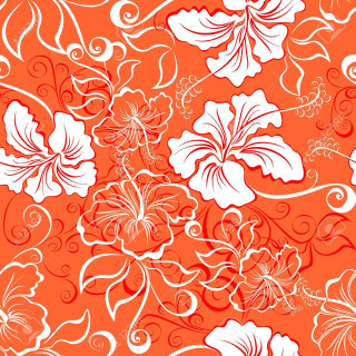 Floral background white flowers orange - a floral background free wallpaper