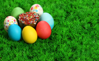 Eggs green field grass sprinkles - full color free wallpaper