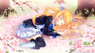 Girl laying field flowers head - her chest free wallpaper for desktop