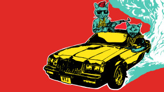 Car cats hood red background - two cat free wallpaper