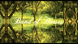 Forest trees band of horses - clifford ross free wallpaper