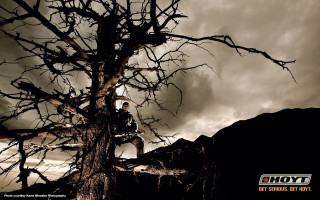 Man standing tree branch cloudy - a cloudy sky free wallpaper for desktop