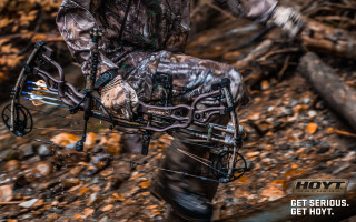 Camouflage man forest bow arrow - a forest free wallpaper