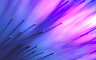 Sticks closeup blurry background purple - stick free wallpaper