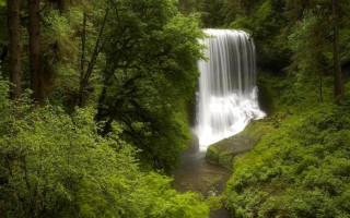 Waterfall forest stream path trees - a waterfall in the middle of a forest free wallpaper