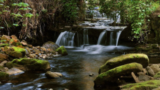 Small waterfall forest mossy rocks 4 - mossy rock and trees free wallpaper