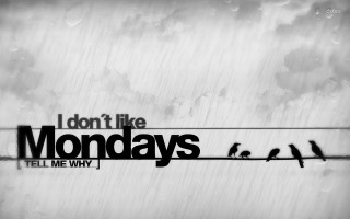 Birds wire black white mondays - a wire free wallpaper for desktop