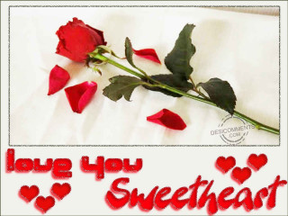 Red rose white sheet message 2 - a white sheet free wallpaper for desktop