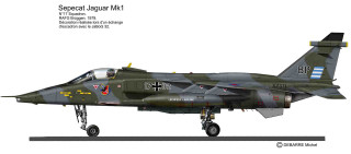 Military jet fighter camouflage pilot - free bird wallpaper for desktop