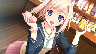 Woman holding pig store shelves - a cat free wallpaper