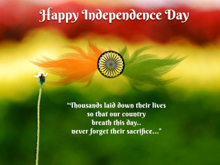 Flower independence quote bapu samikshavad - a picture of a flower free wallpaper