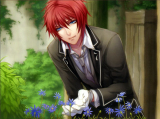 Man suit gloves garden blue - a garden free wallpaper for desktop