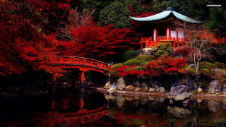 Red bridge autumn leaves japanese - japan eishōsai chōki free wallpaper