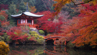 Small bridge red leaves pagoda - japan eishōsai chōki free wallpaper
