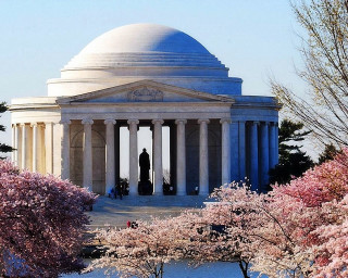 Large white building dome pillars - a large white building free wallpaper