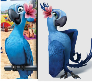 Blue bird flower beak photorealism - free bird wallpaper for tablet