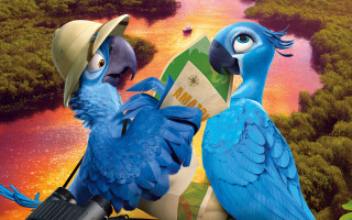 Blue birds hats guns heads - hat free wallpaper for desktop