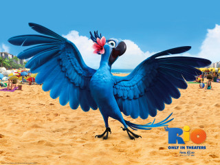 Blue bird wings spread beach - carlos trillo name free wallpaper