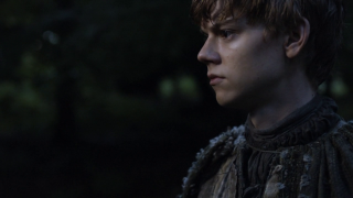 Medieval man distant gaze trees - the background in the background free wallpaper