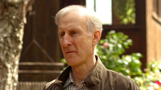 Man standing tree park house - david lazar free wallpaper for desktop