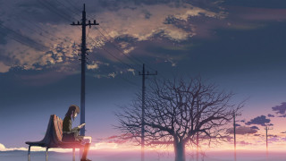 Person bench tree telephone pole 2 - kyoto animation free wallpaper