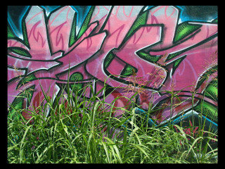 Graffiti wall grass person standing - graffiti paint free wallpaper