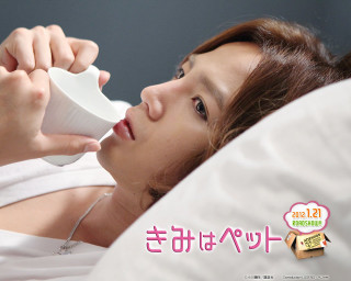 Woman laying bed cup cellphone - her hand and a cell phone free wallpaper