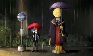 Couple umbrellas rain dog cat - the rain free wallpaper for desktop
