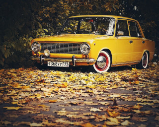 Yellow car parked leaves trees - a few leaf free wallpaper for desktop