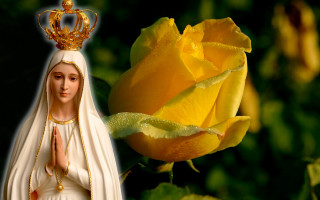Statue woman crown rose background - anne said free wallpaper