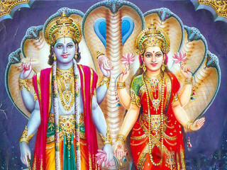 Colorful women peacock head shoulder - a peacock free wallpaper for desktop