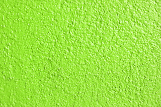Green wall black white cat - a green wall free wallpaper