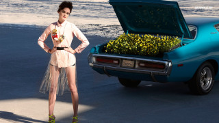 Woman car flowers trunk standing - christabel dennison free wallpaper for desktop