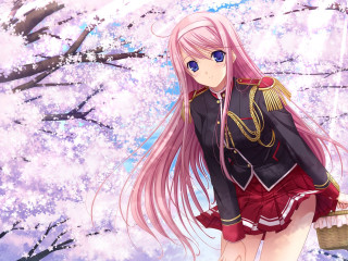 Pink hair anime girl sakura - a black jacket free wallpaper