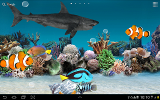 Computer screen fish shark ocean - coral free wallpaper for desktop