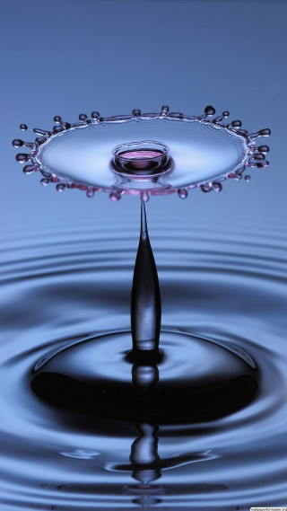 Water drop pink center surface - water free wallpaper for mobile
