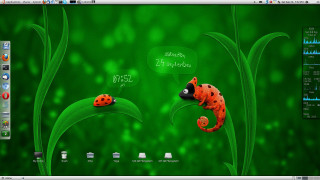 Desktop ladybug image screen side - cedric seaut keos masons free wallpaper