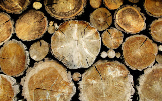 Cut logs stacked pile wood - cornelia parker free wallpaper