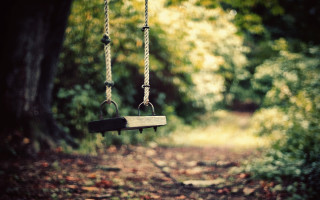 Swing forest trees leaves path 2 - florianne becker free wallpaper for desktop