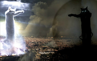 Cat hill city cloudy rainbow - a rainbow in the sky free wallpaper