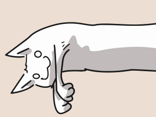 Dog drawing head pillow paw - its head on free wallpaper