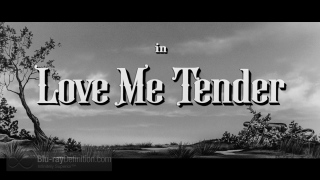 Black white tree sky love - arnold mesches free wallpaper