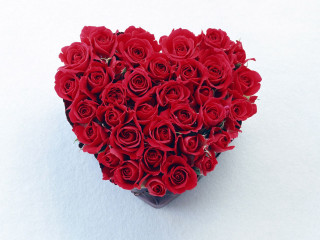 Heart box roses snow romantic - single free wallpaper