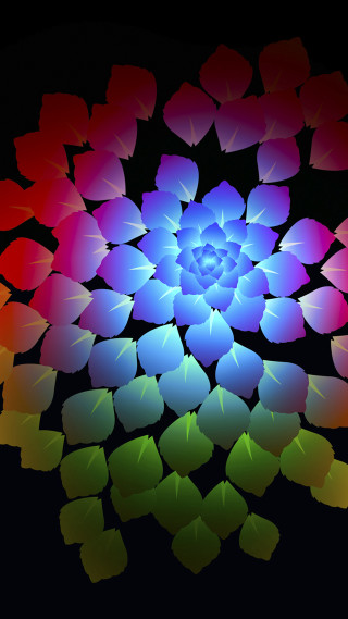 Colorful flower rainbow center black - a colorful flower free wallpaper for mobile
